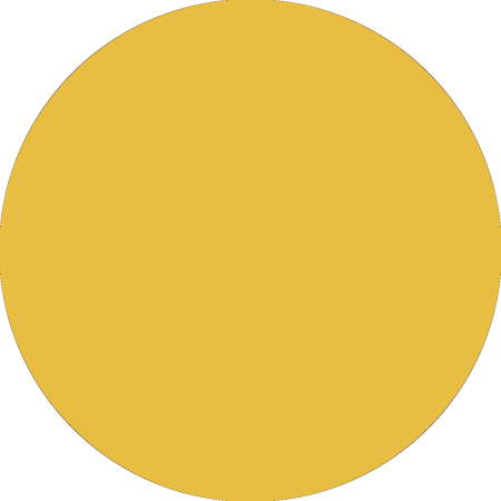 Złoto-żółty / Goldgelb / Golden Yellow